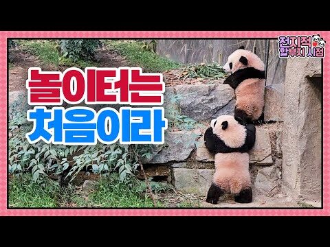 01월 02일  유튜브 동영상 HOT 5