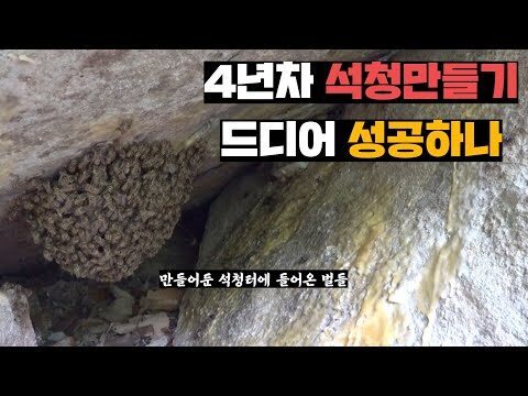 2024. 06. 22.  유튜브 인기 동영상 TOP 5